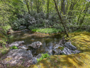 Wildflower Creek Motor Coach Resort, Scaly Mountain NC
