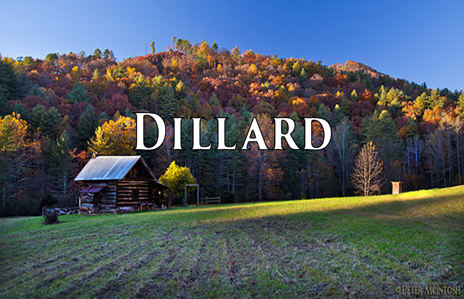 Homes for Sale in Dillard Ga offered by Durpo Realty Associates