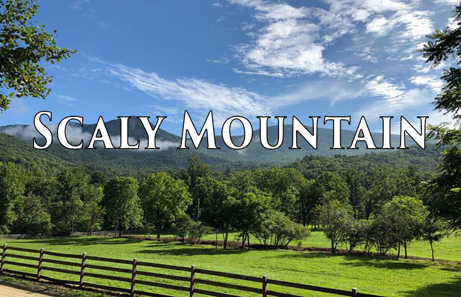 Scaly mountain NC Houses for Sale Sale in Scaly Mountain NC