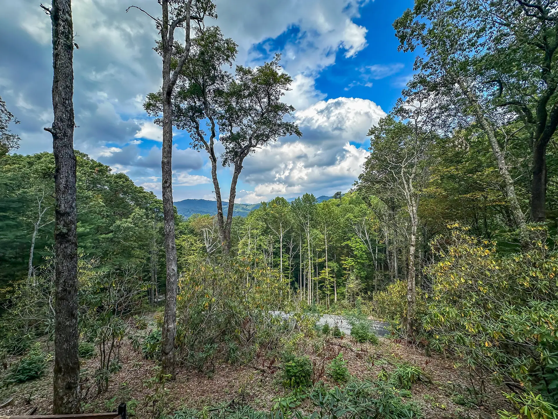 400-Knob-Dr.-Sky-Valley-GA-30537-62.webp