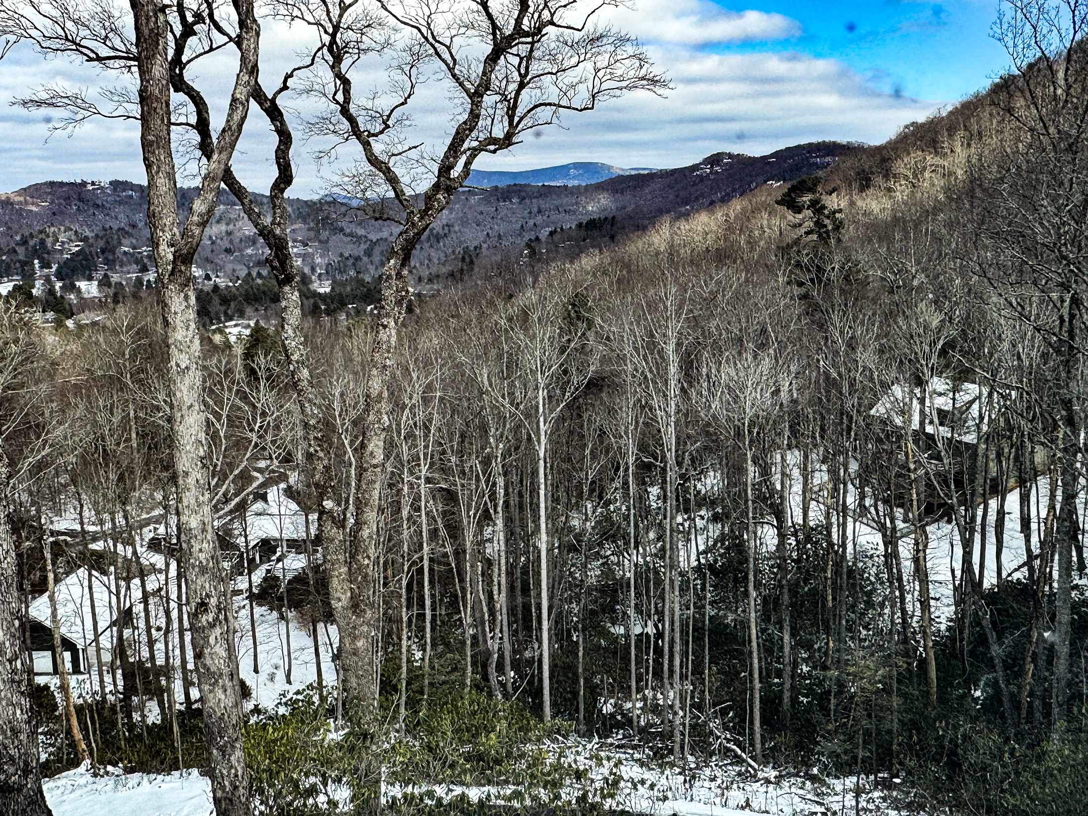 900-Knob-Dr-Sky-Valley-Ga-IMG_5923.jpeg