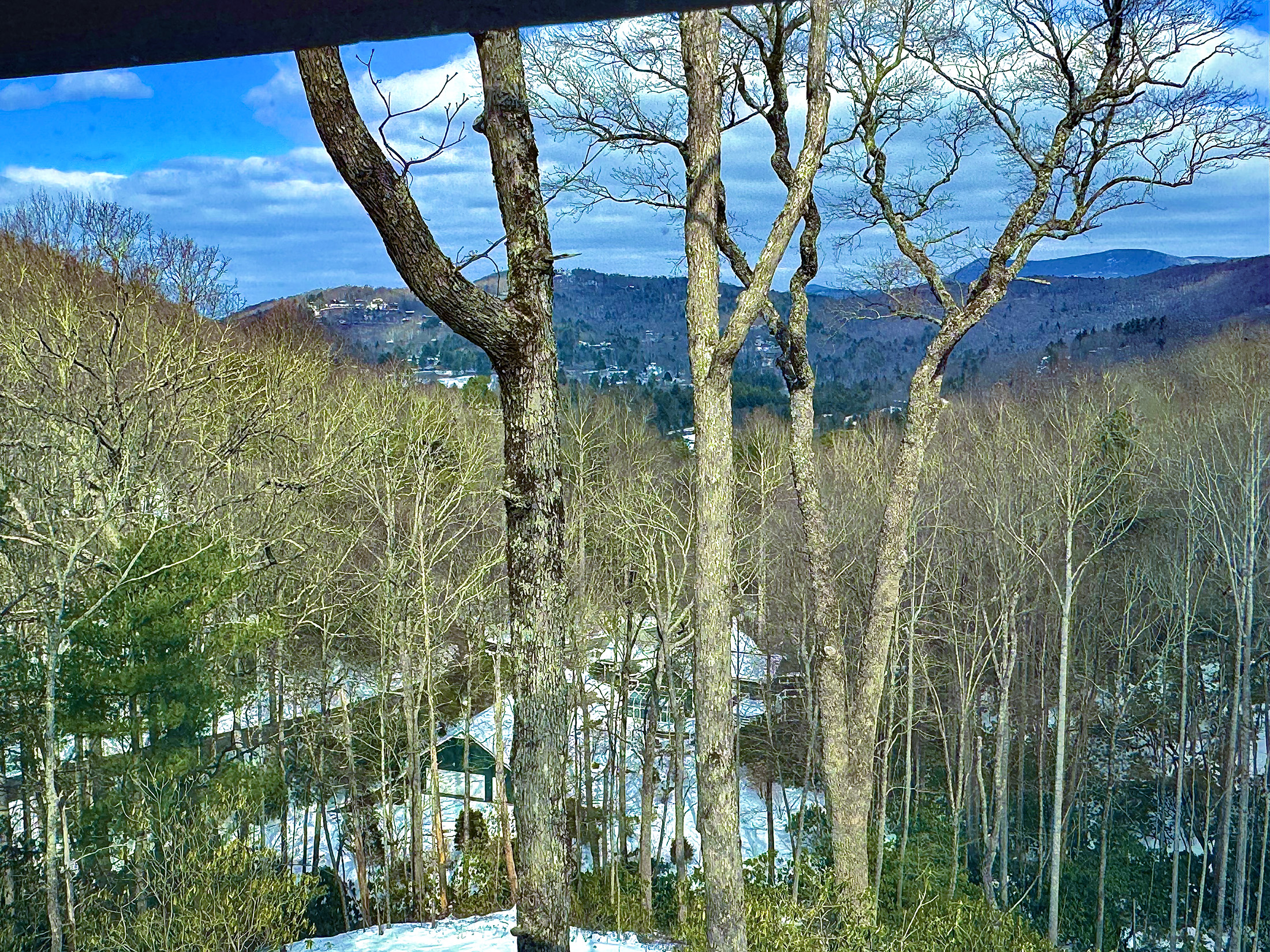 900-Knob-Dr-Sky-Valley-Ga-IMG_5924.jpeg