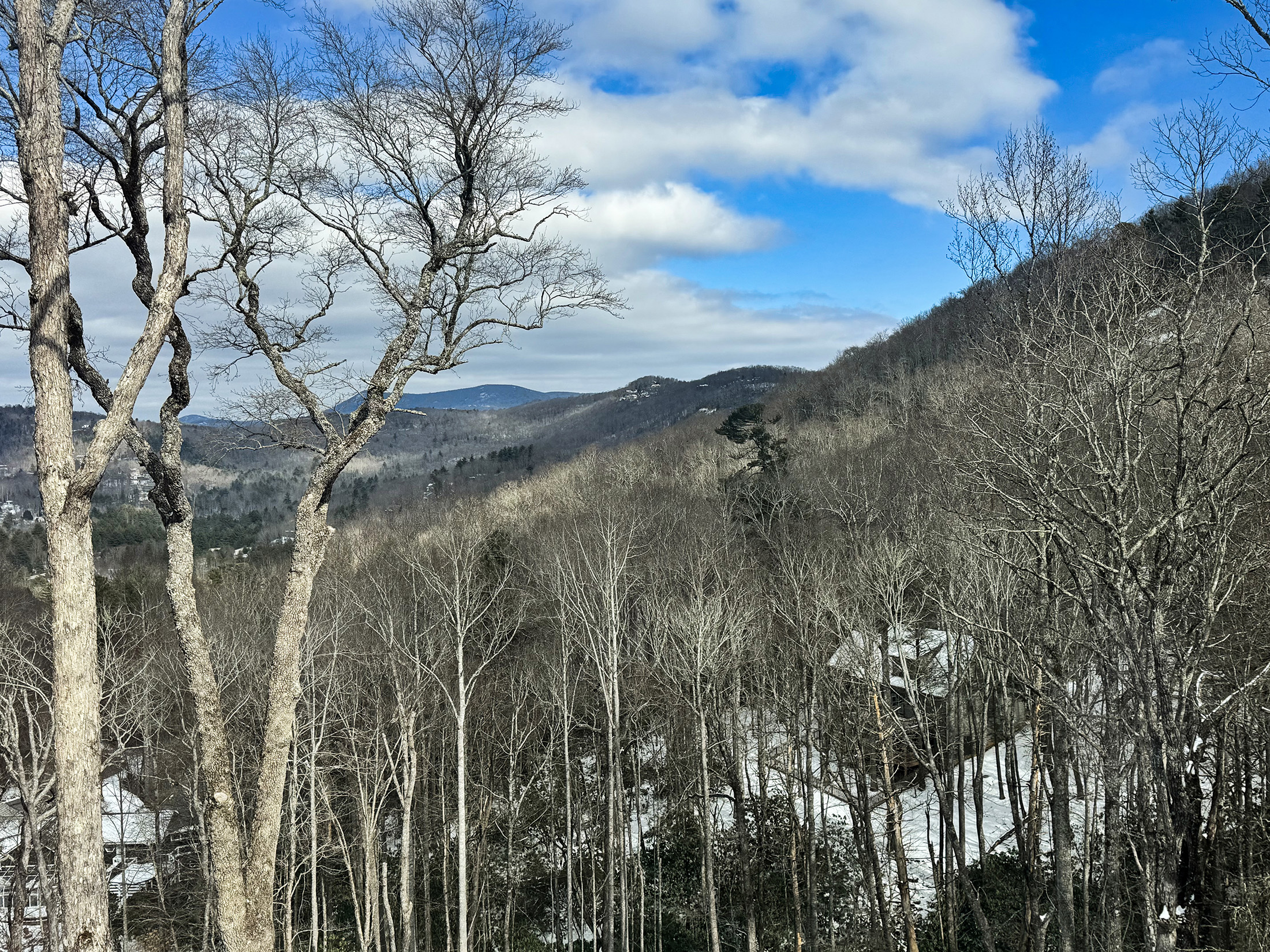 900-Knob-Dr-Sky-Valley-Ga-IMG_5925.jpeg