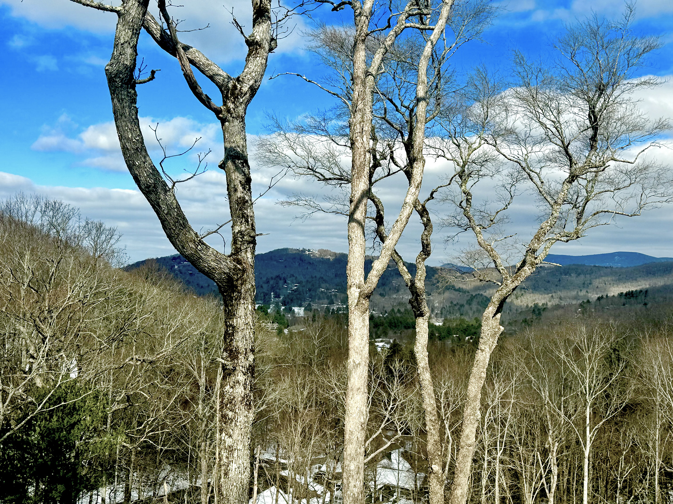 900-Knob-Dr-Sky-Valley-Ga-IMG_5926.jpeg