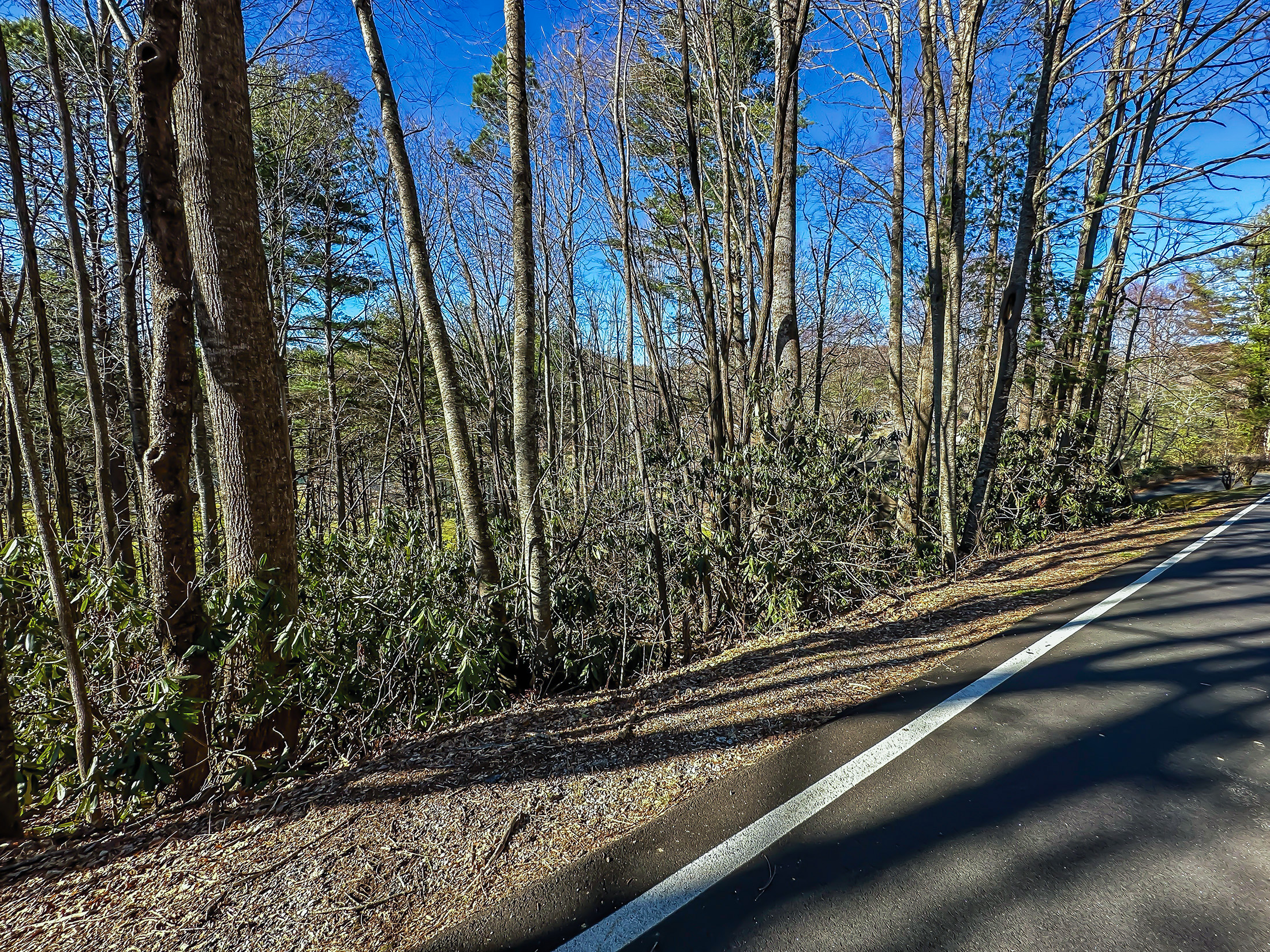 Lot-1-Ridgepole-Dr-Sky-Valley-GA-30537-3.jpg