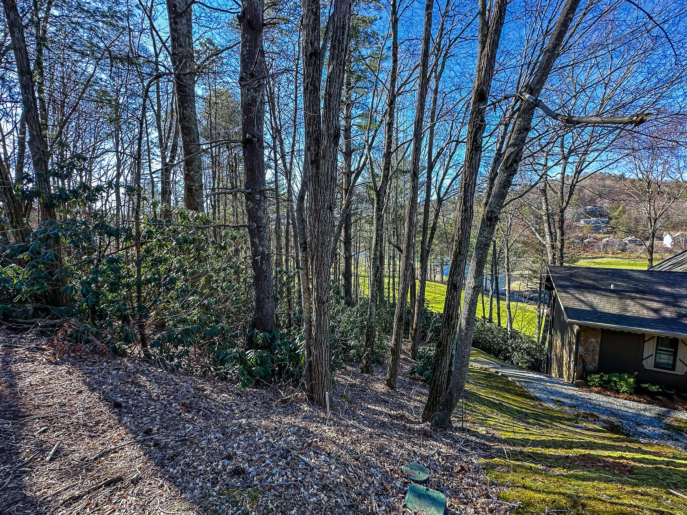 Lot-1-Ridgepole-Dr-Sky-Valley-GA-30537-6.jpg