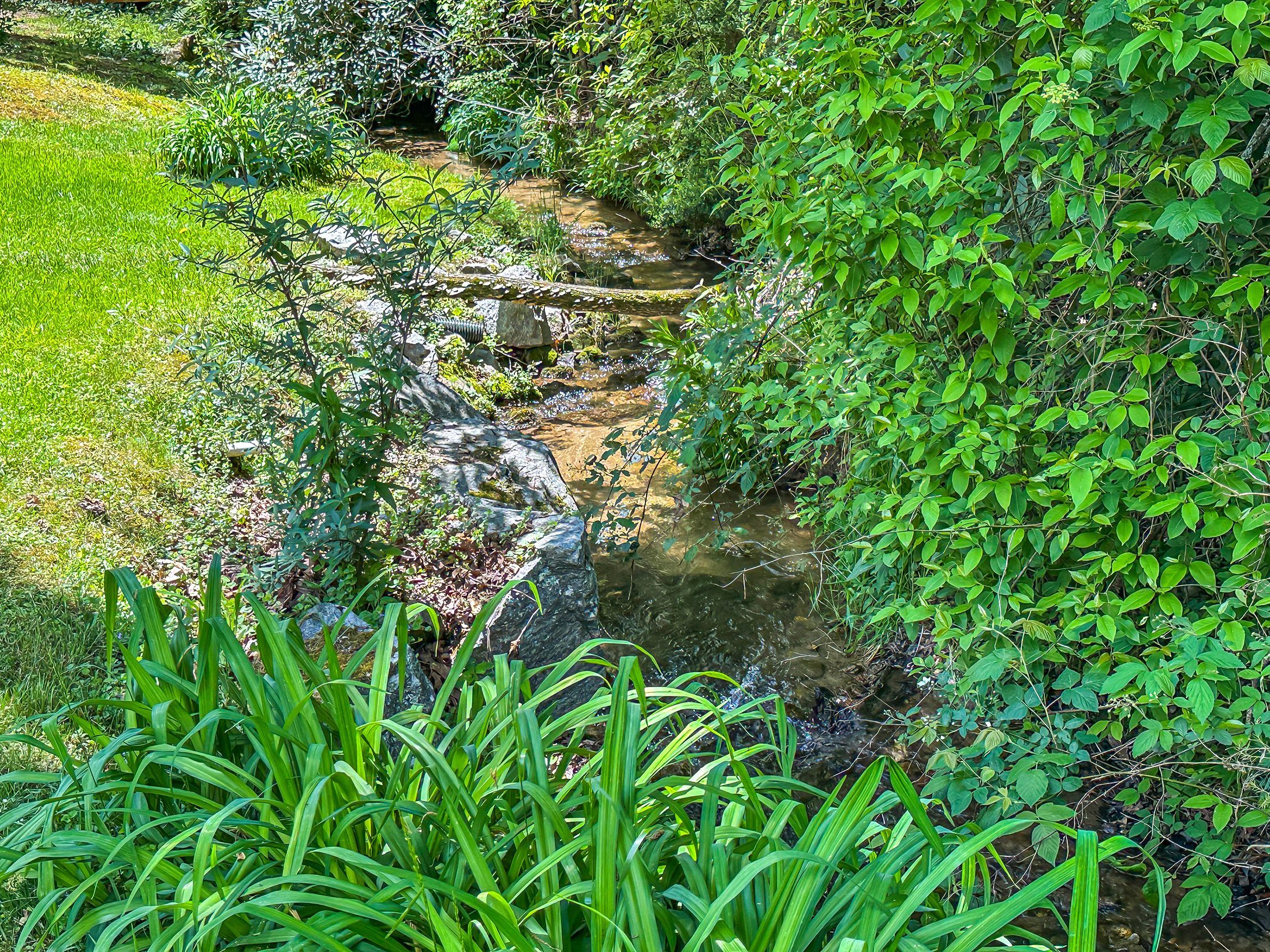 30 Putter Lane, Sky Valley, GA 30537 - 7