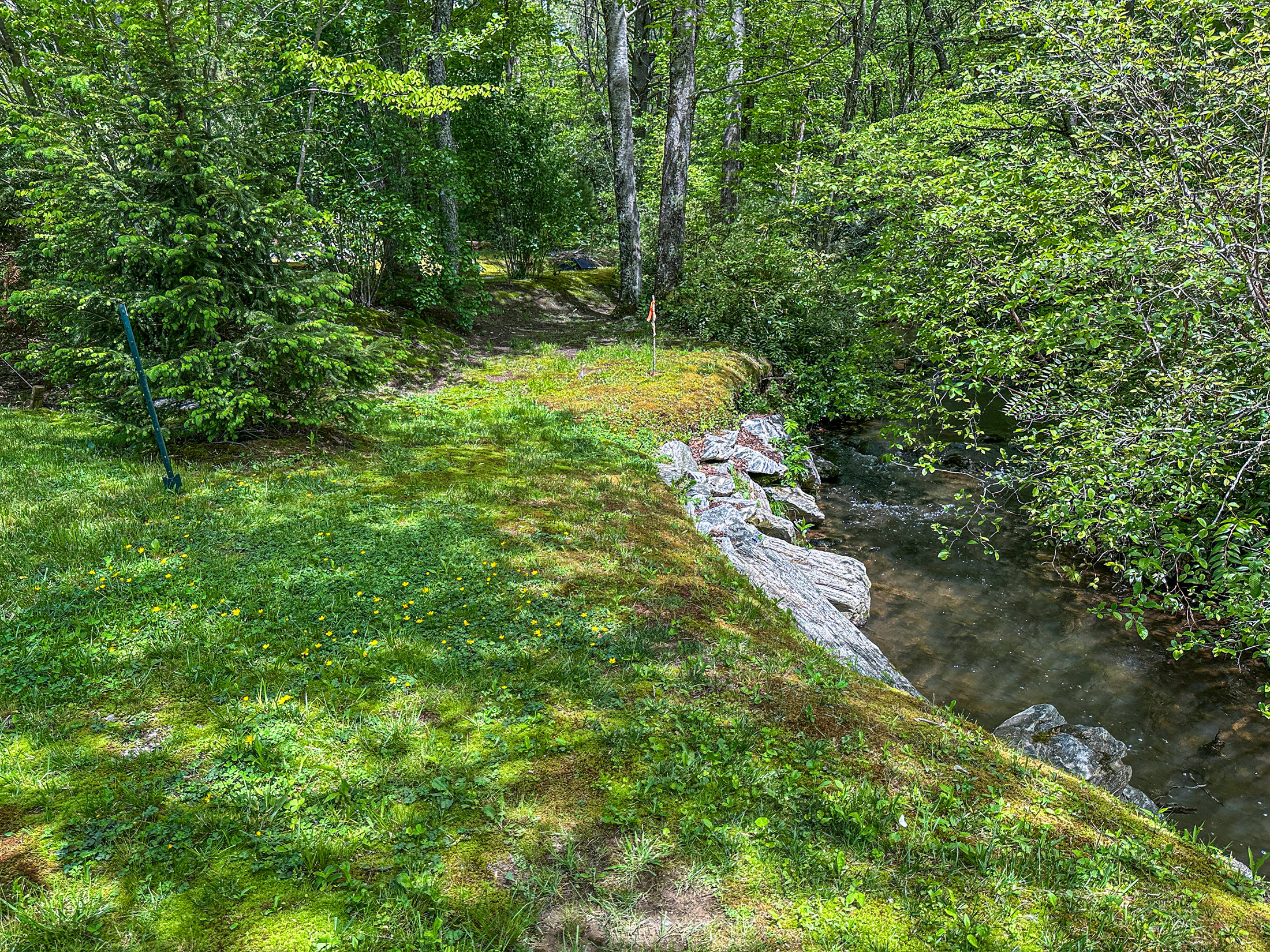 87 Middle Creek Ln, Scaly Mountain, NC 28775 - 13