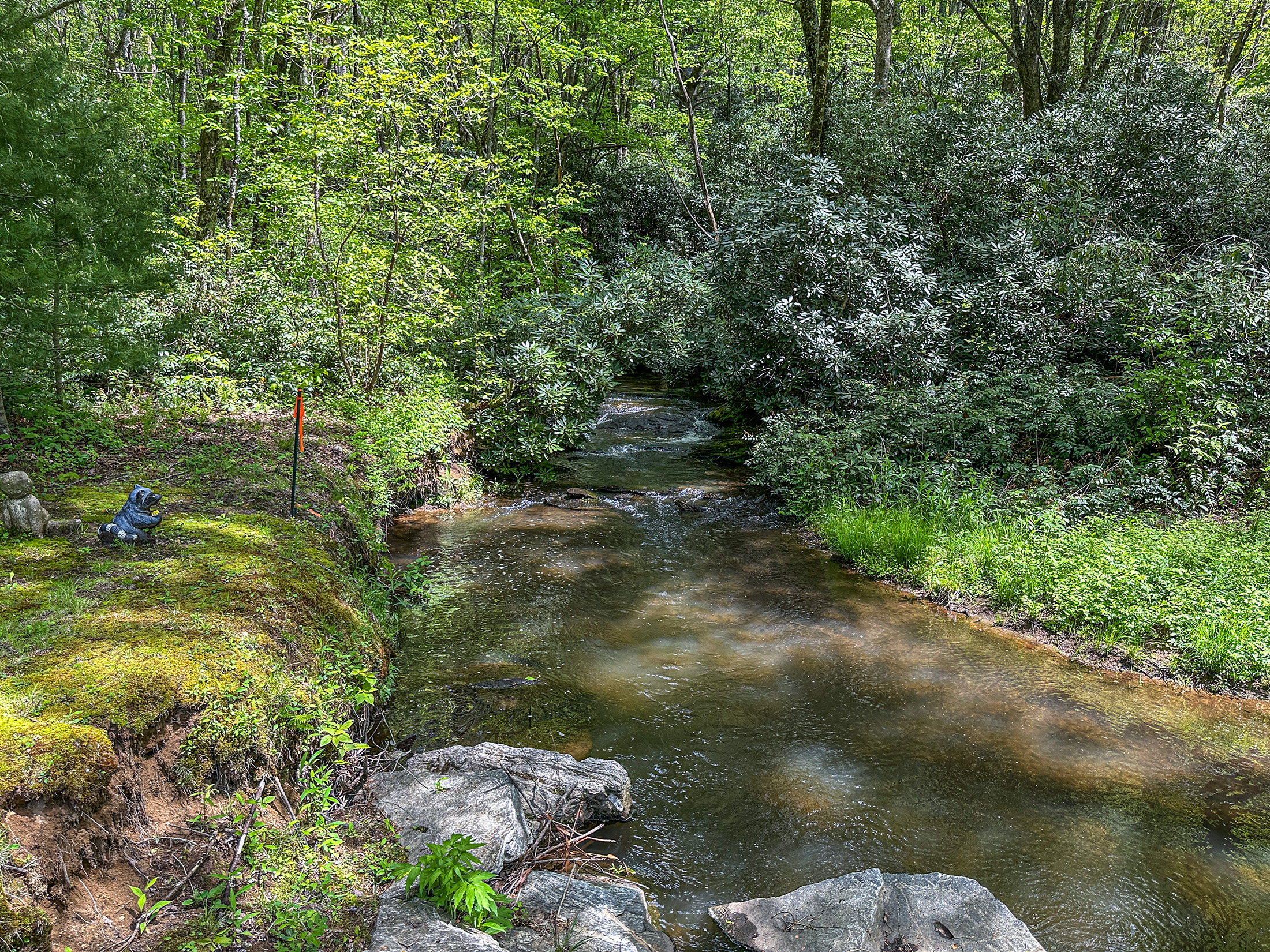 87 Middle Creek Ln, Scaly Mountain, NC 28775 - 18