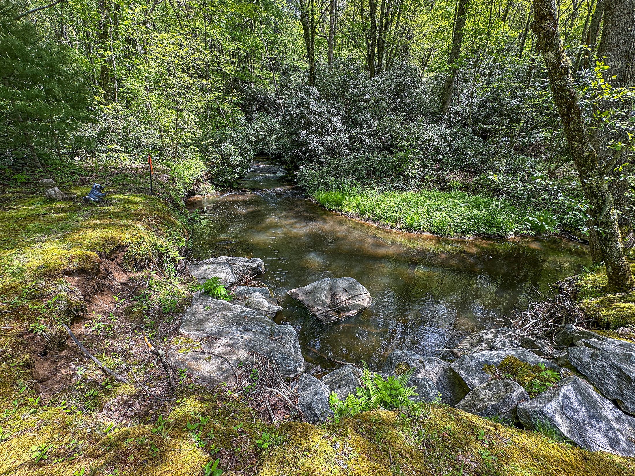 87 Middle Creek Ln, Scaly Mountain, NC 28775 - 19