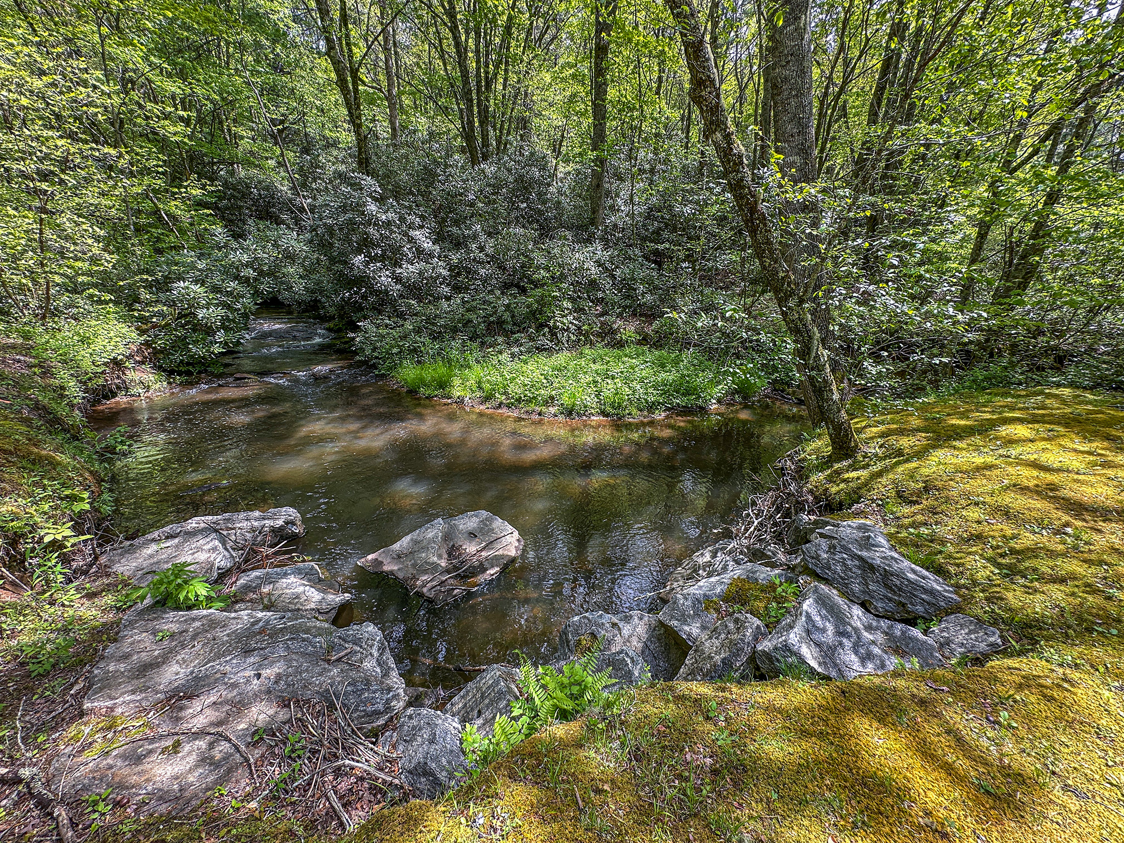Wildflower Creek Motor Coach Resort, Scaly Mountain NC
