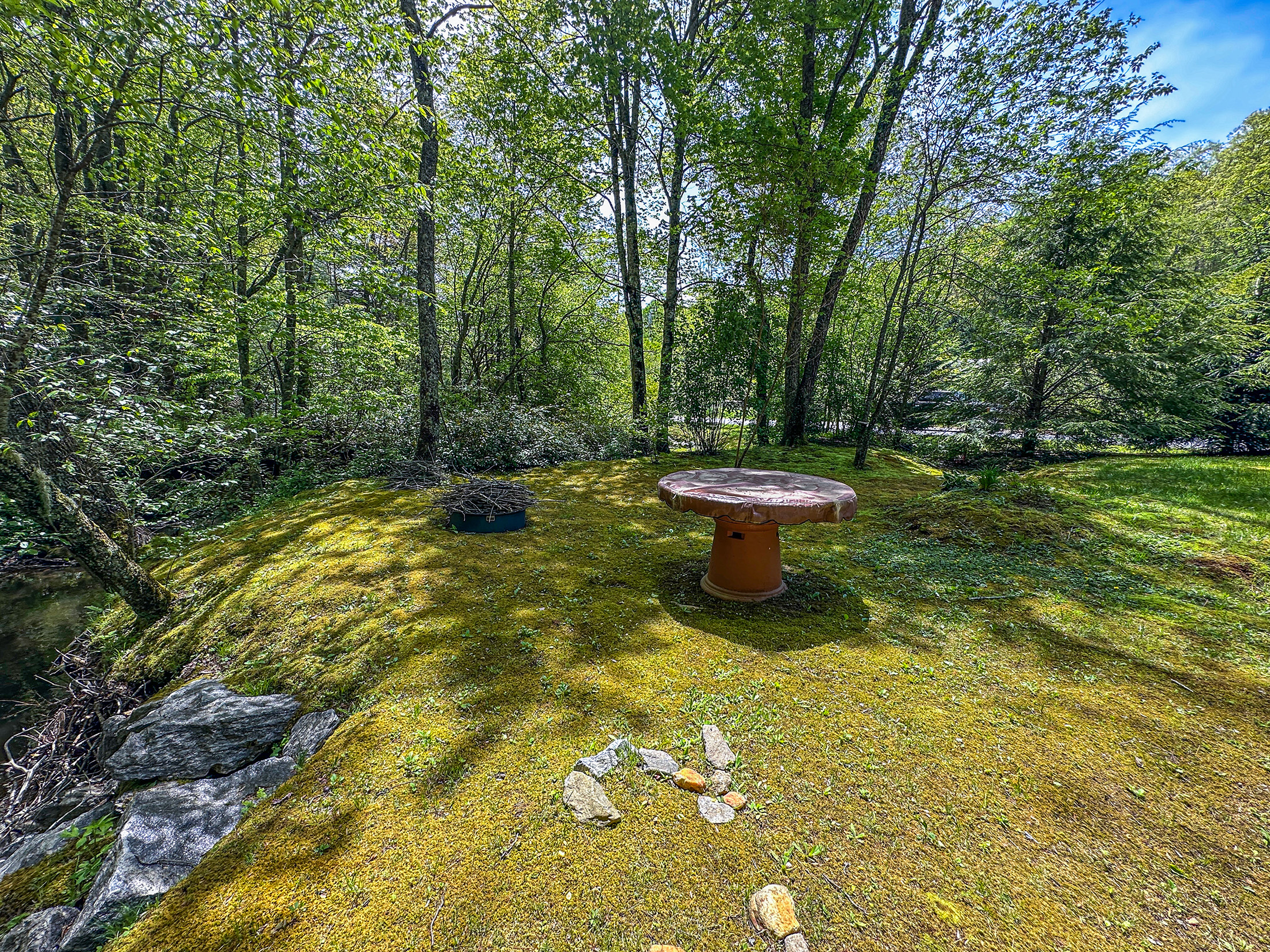 87 Middle Creek Ln, Scaly Mountain, NC 28775 - 21