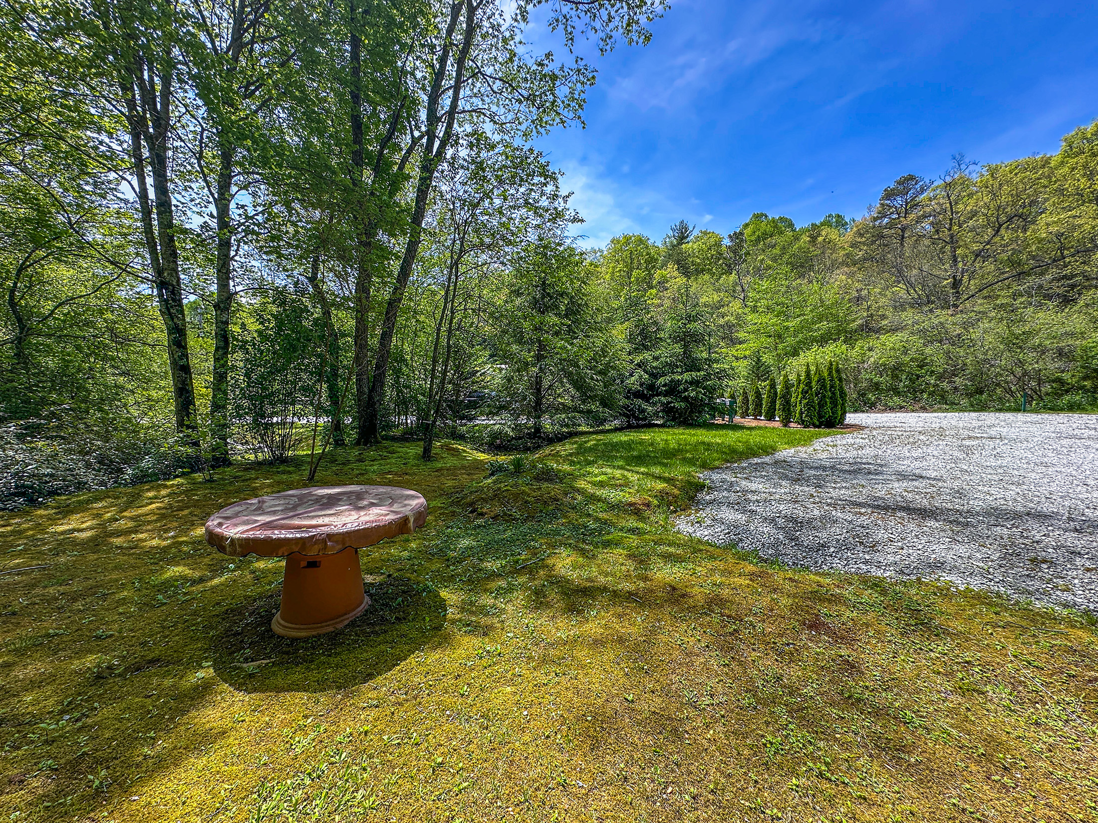 87 Middle Creek Ln, Scaly Mountain, NC 28775 - 23