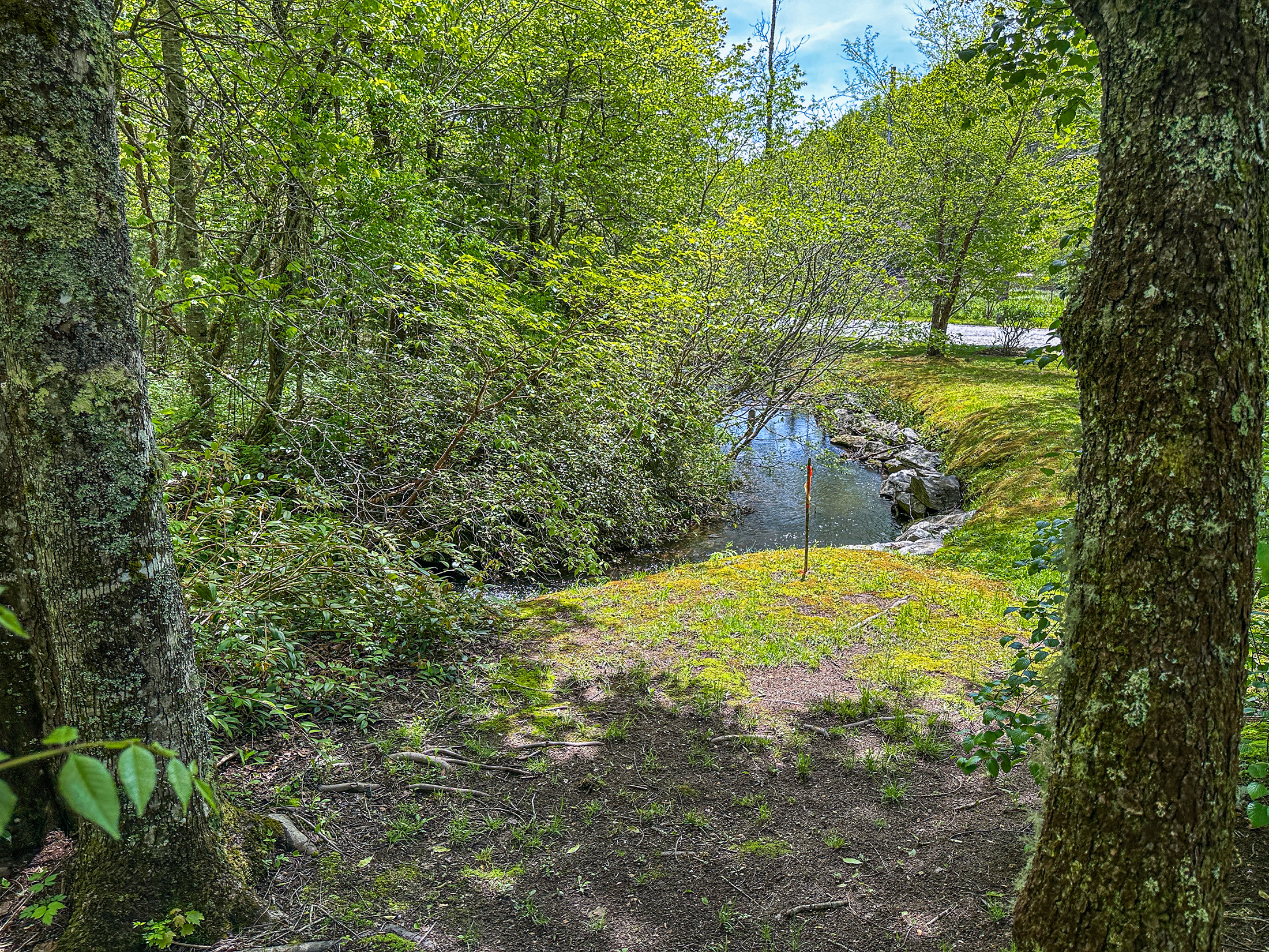 87 Middle Creek Ln, Scaly Mountain, NC 28775 - 24