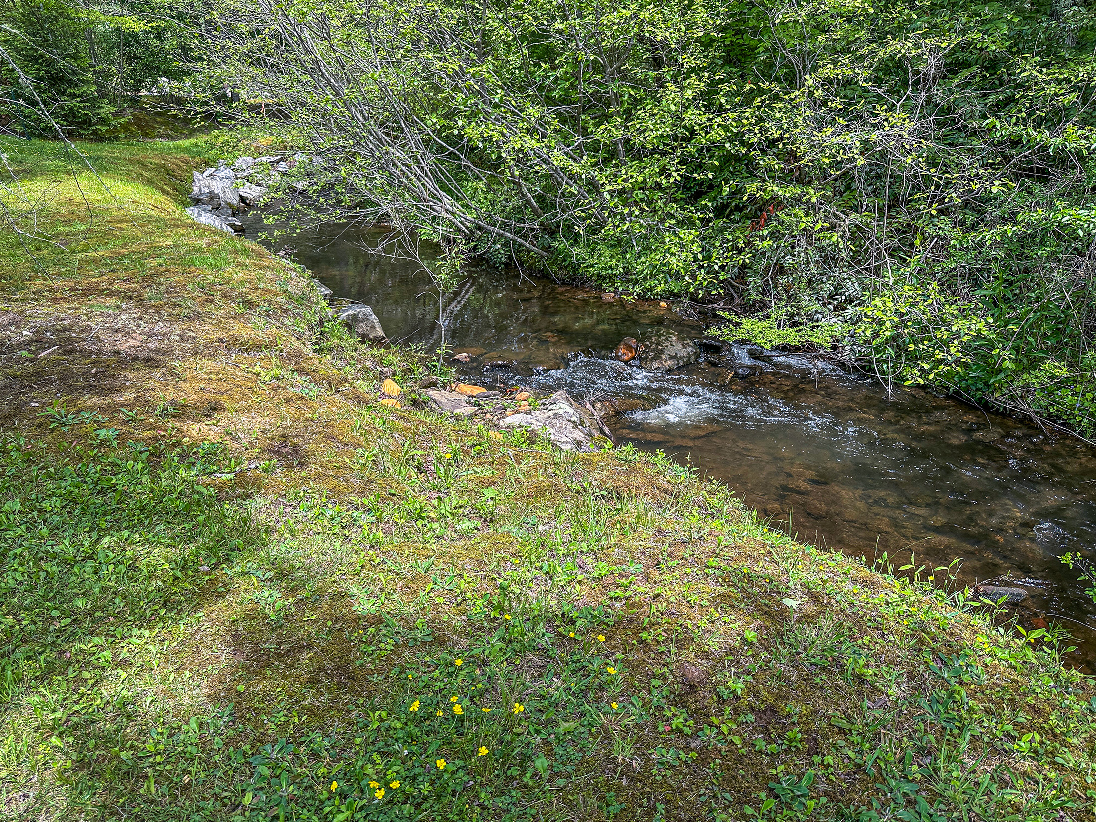 87 Middle Creek Ln, Scaly Mountain, NC 28775 - 9