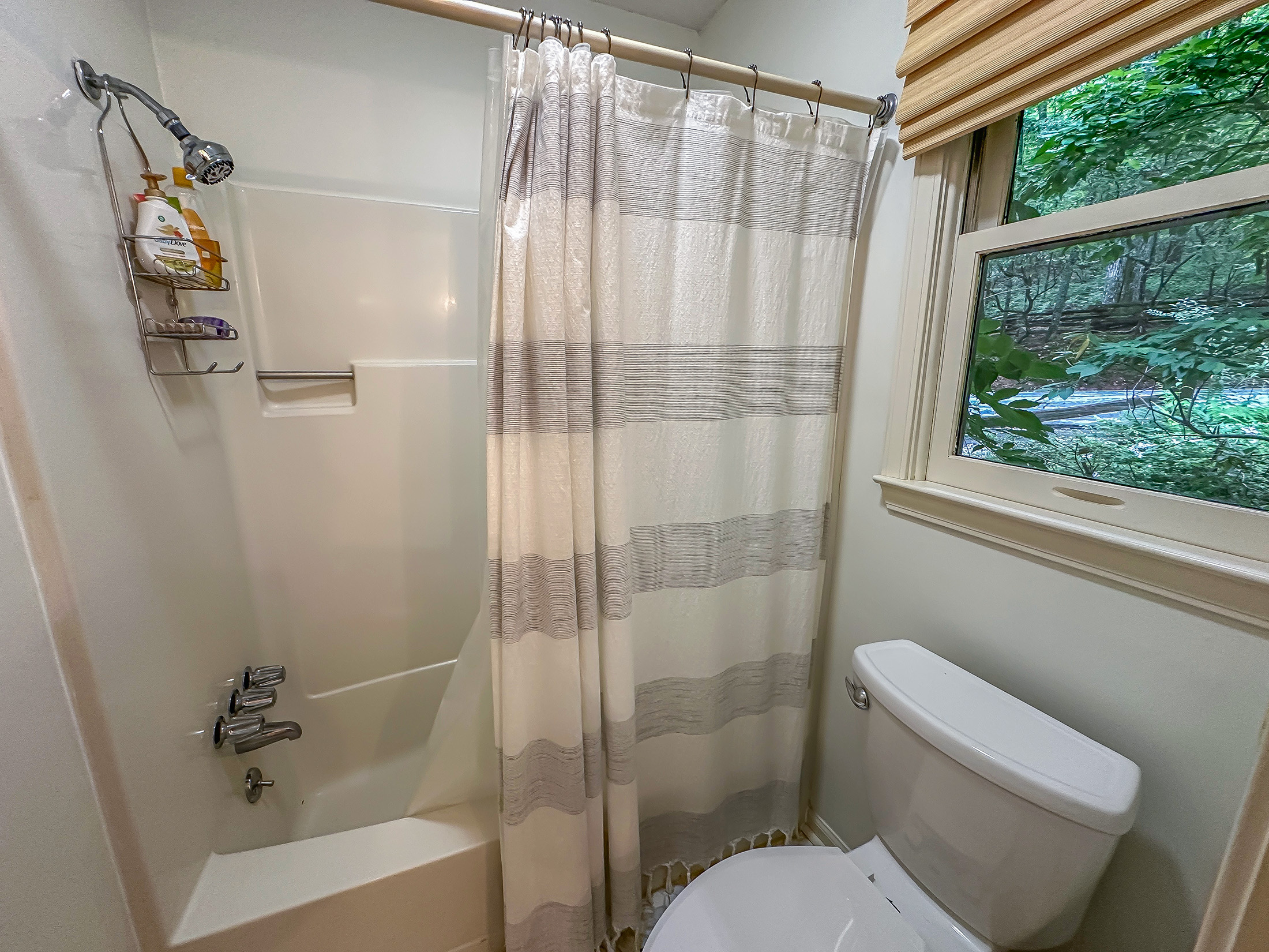 278 W. Sugarbush Dr Sky Valley GA 30537 - 43