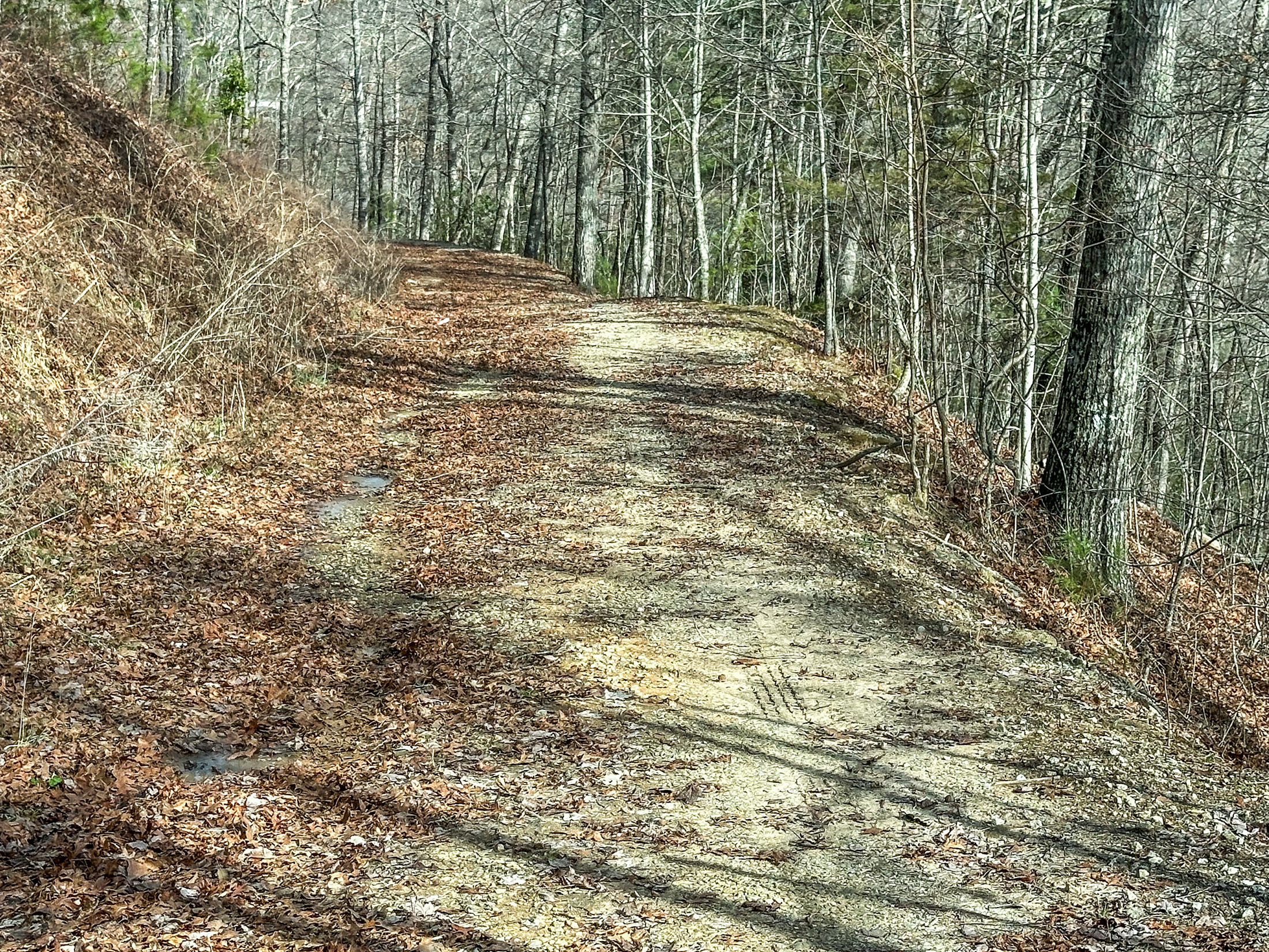 Lot 6 and 6B Steepway Ln Clayton GA 30525 - 11