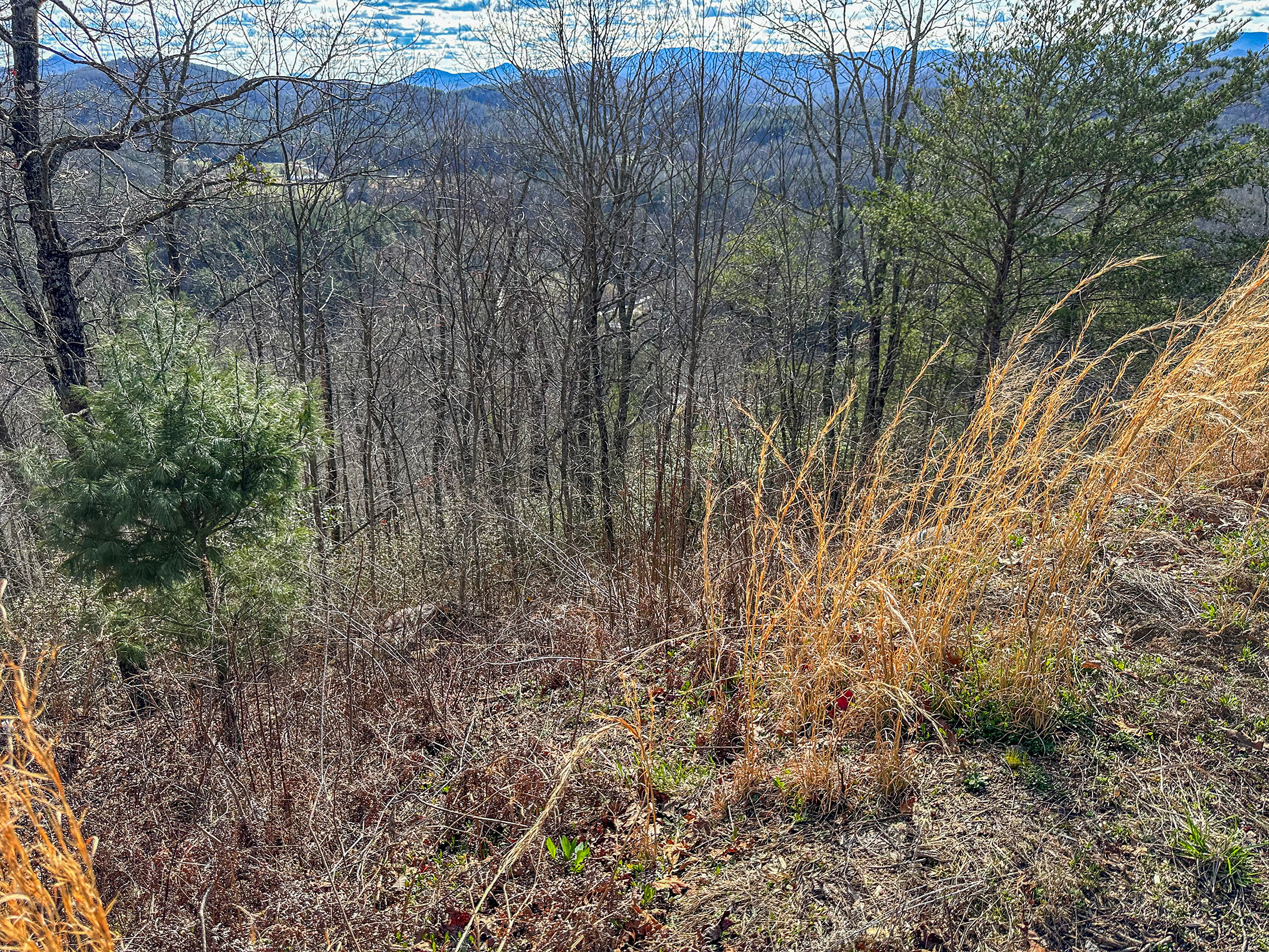 Lot 6 and 6B Steepway Ln Clayton GA 30525 - 7