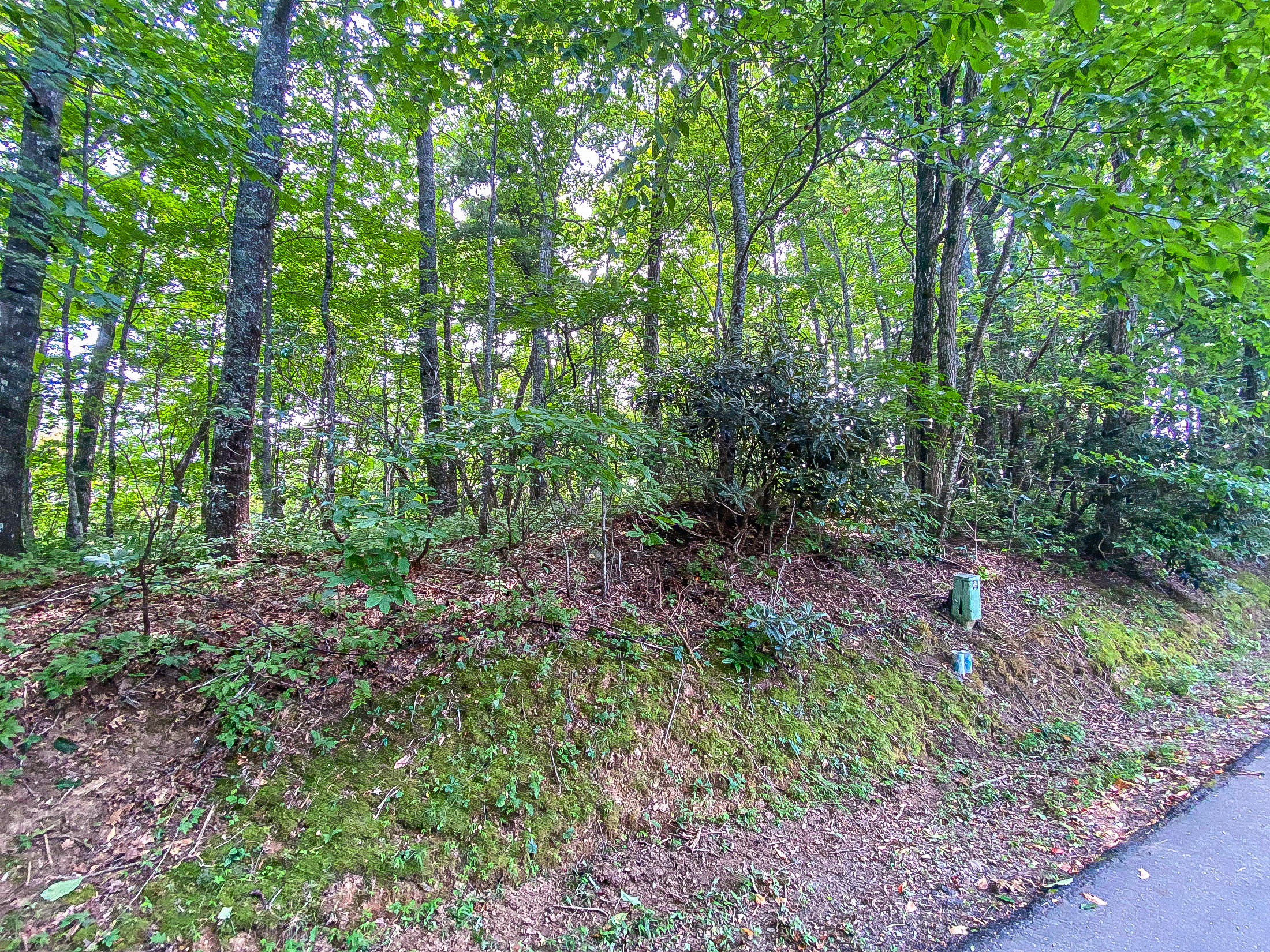Lot 1 Pleasant Mountain Dr. Sky Valley GA 30537 - 2
