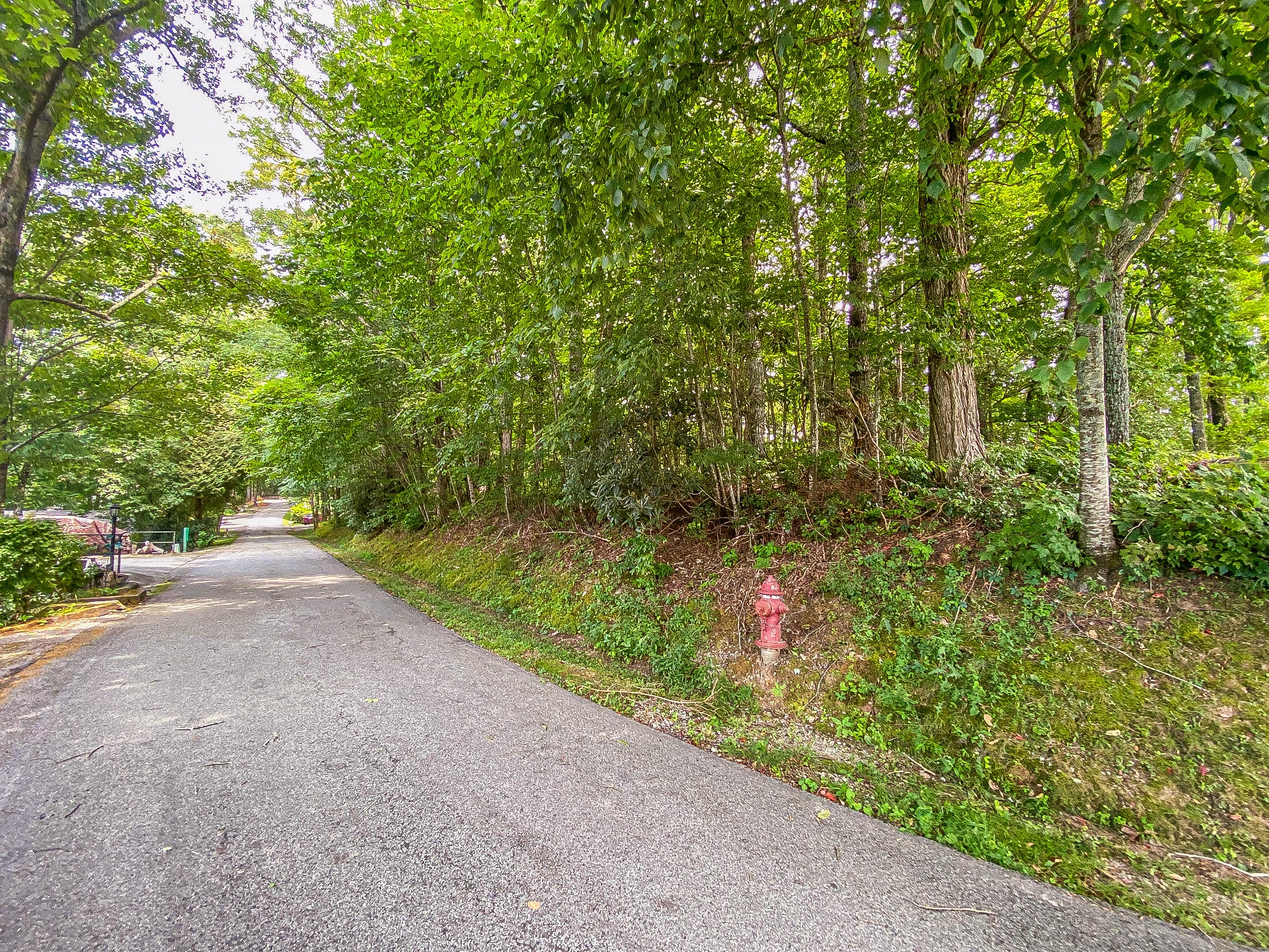 Lot 1 Pleasant Mountain Dr. Sky Valley GA 30537 - 4