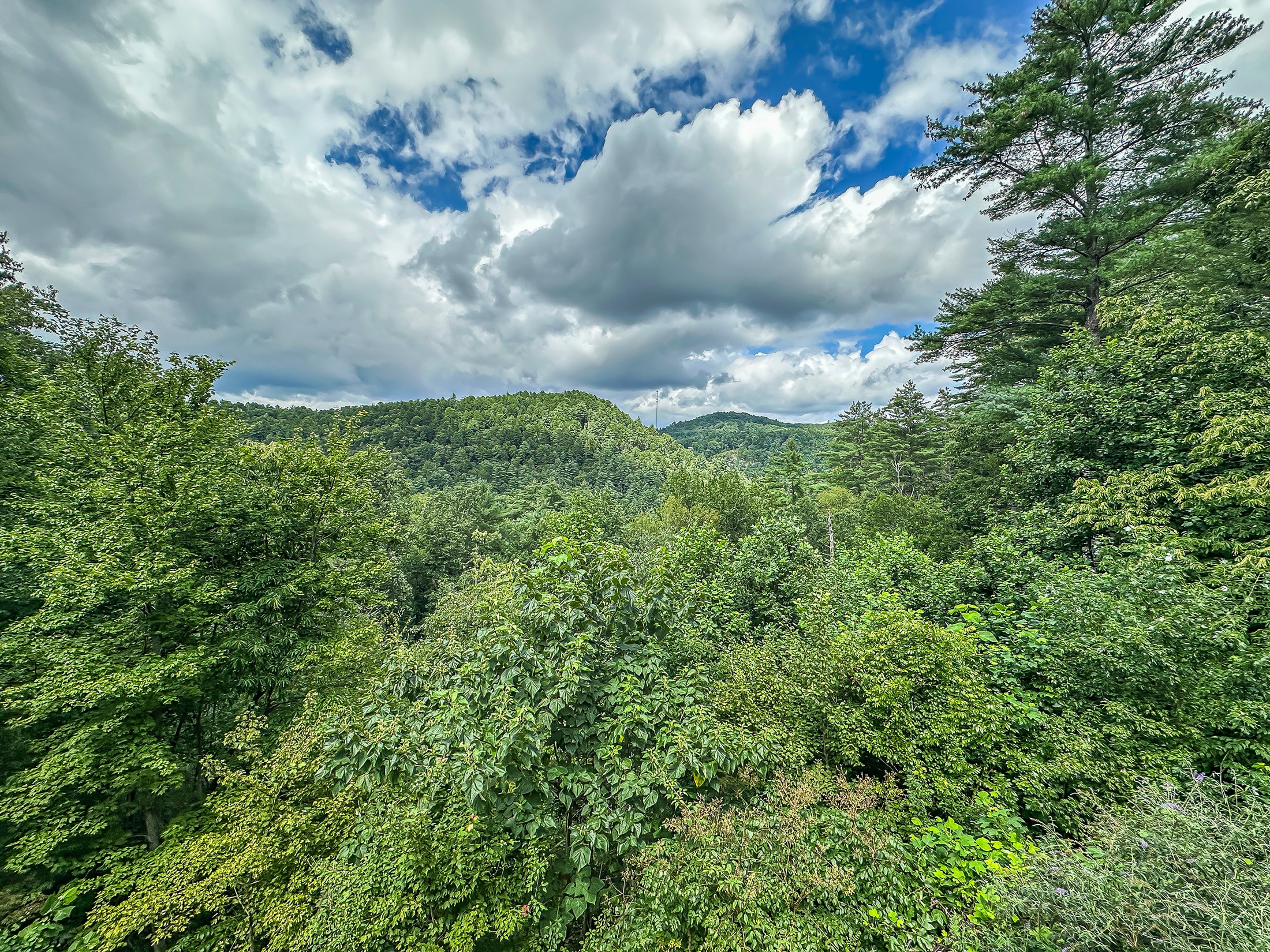 491 Hidden Falls Dr Tiger GA 30576 - 8