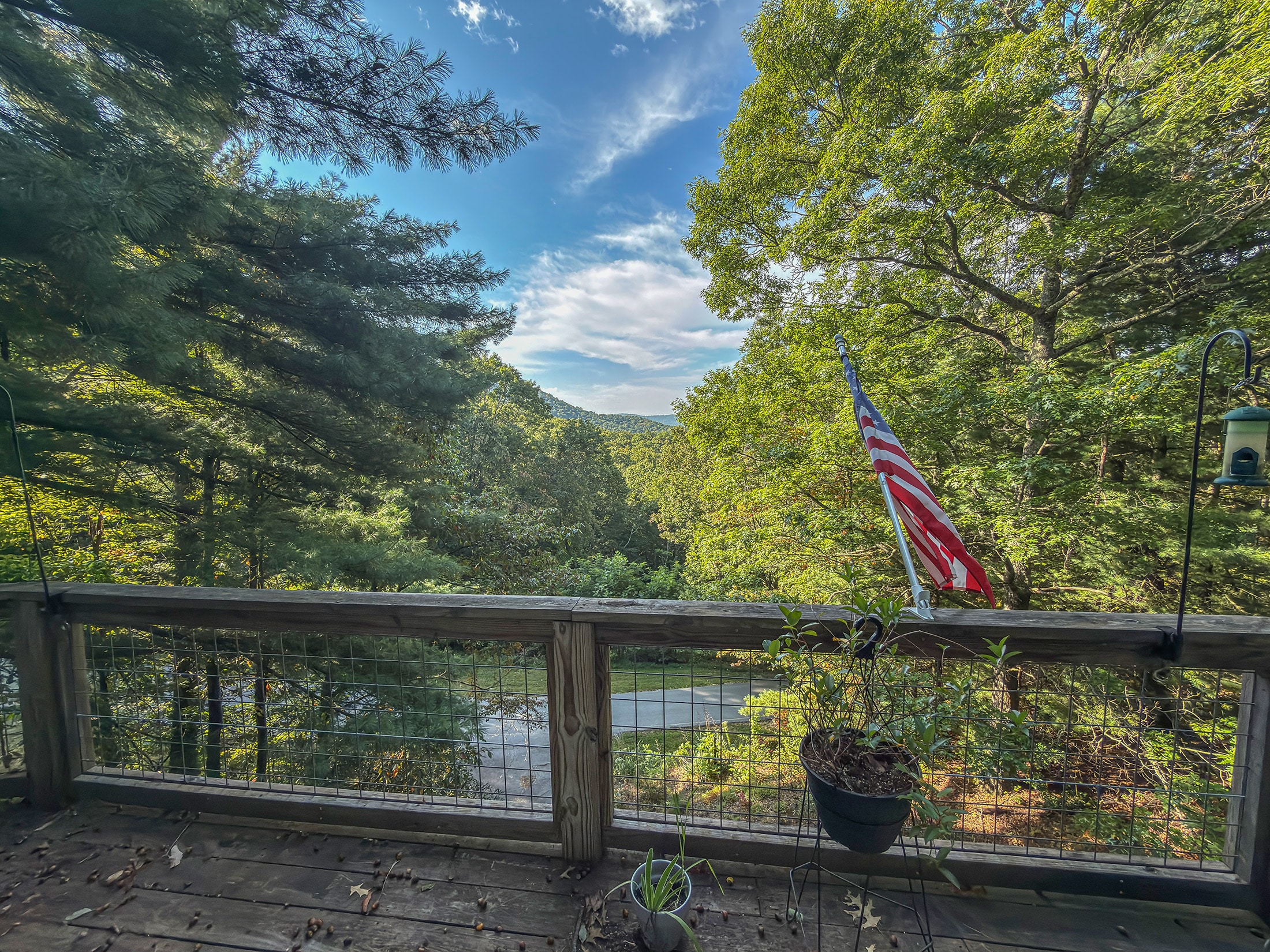 View from the deck of 169 Alex Mountain Dr