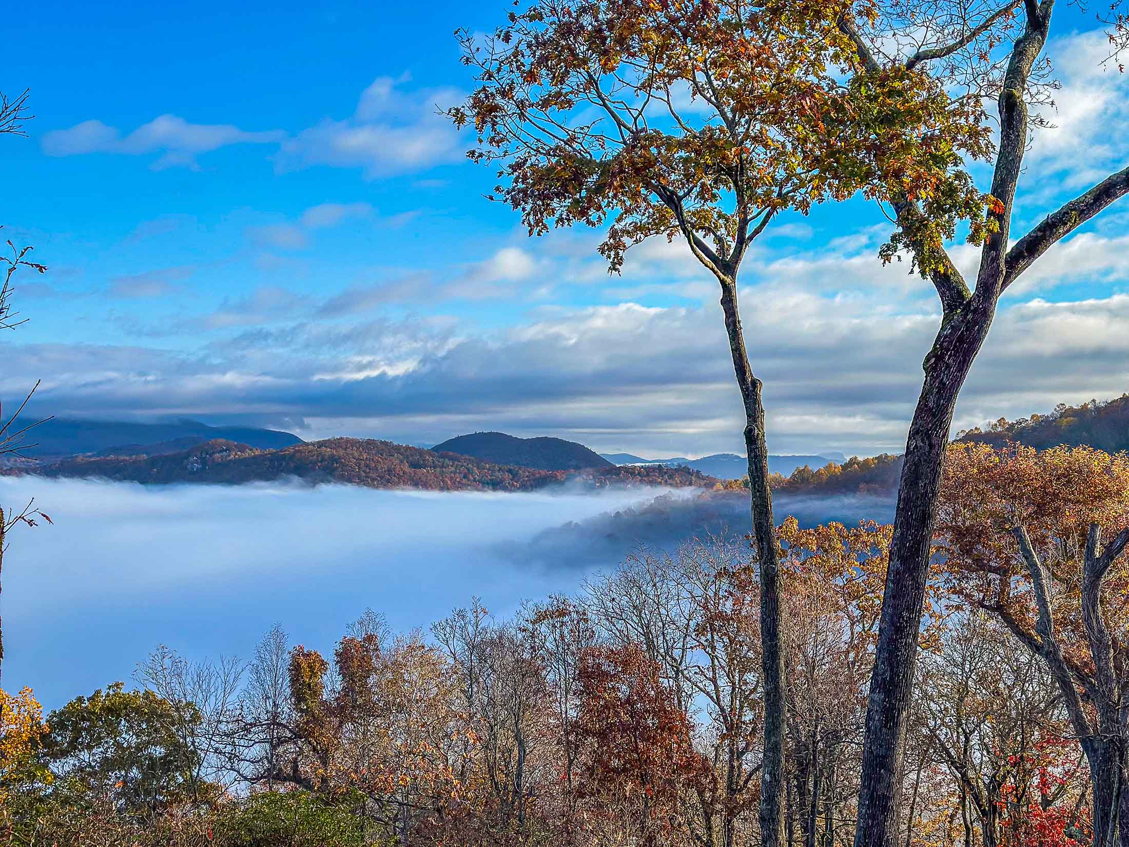 383 Bayberry Ln Sky Valley GA 30537 - 103