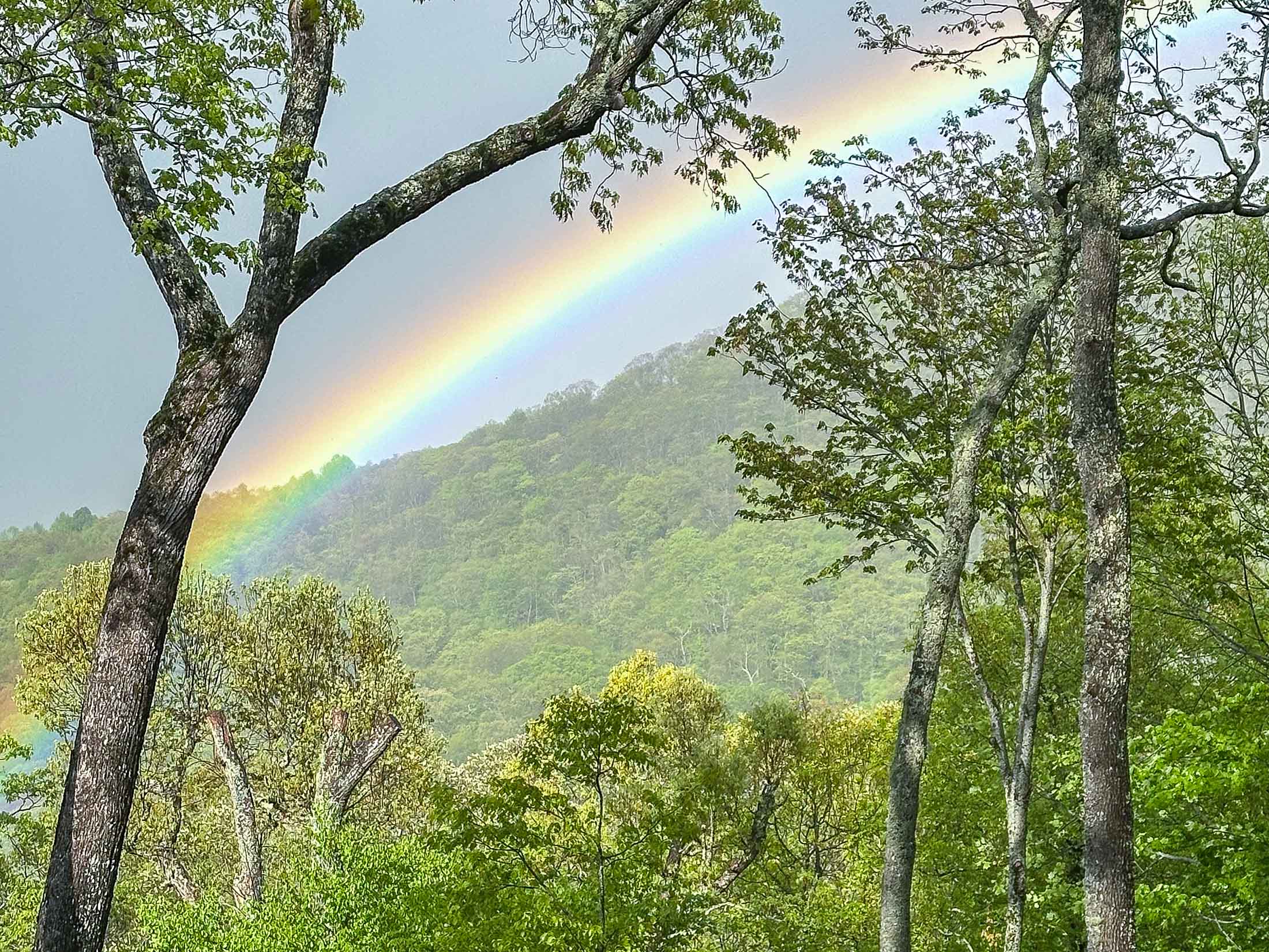 383 Bayberry Ln Sky Valley GA 30537 - 105