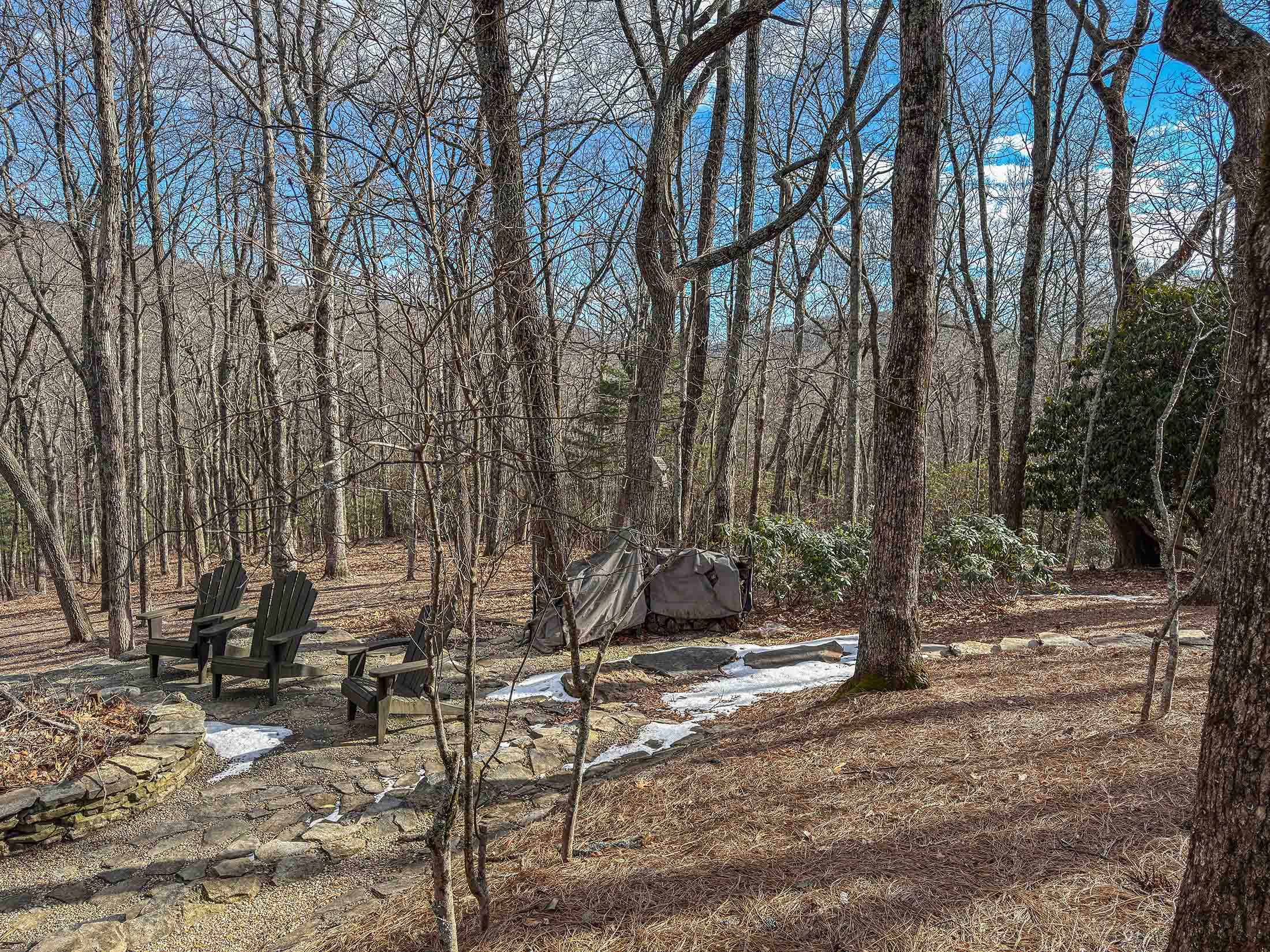 383 Bayberry Ln Sky Valley GA 30537 - 73