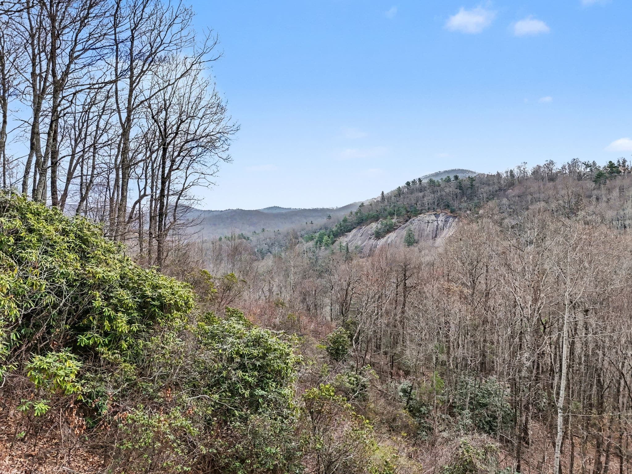 187 Evans Creek Rd Scaly Mountain NC 28775 - 3