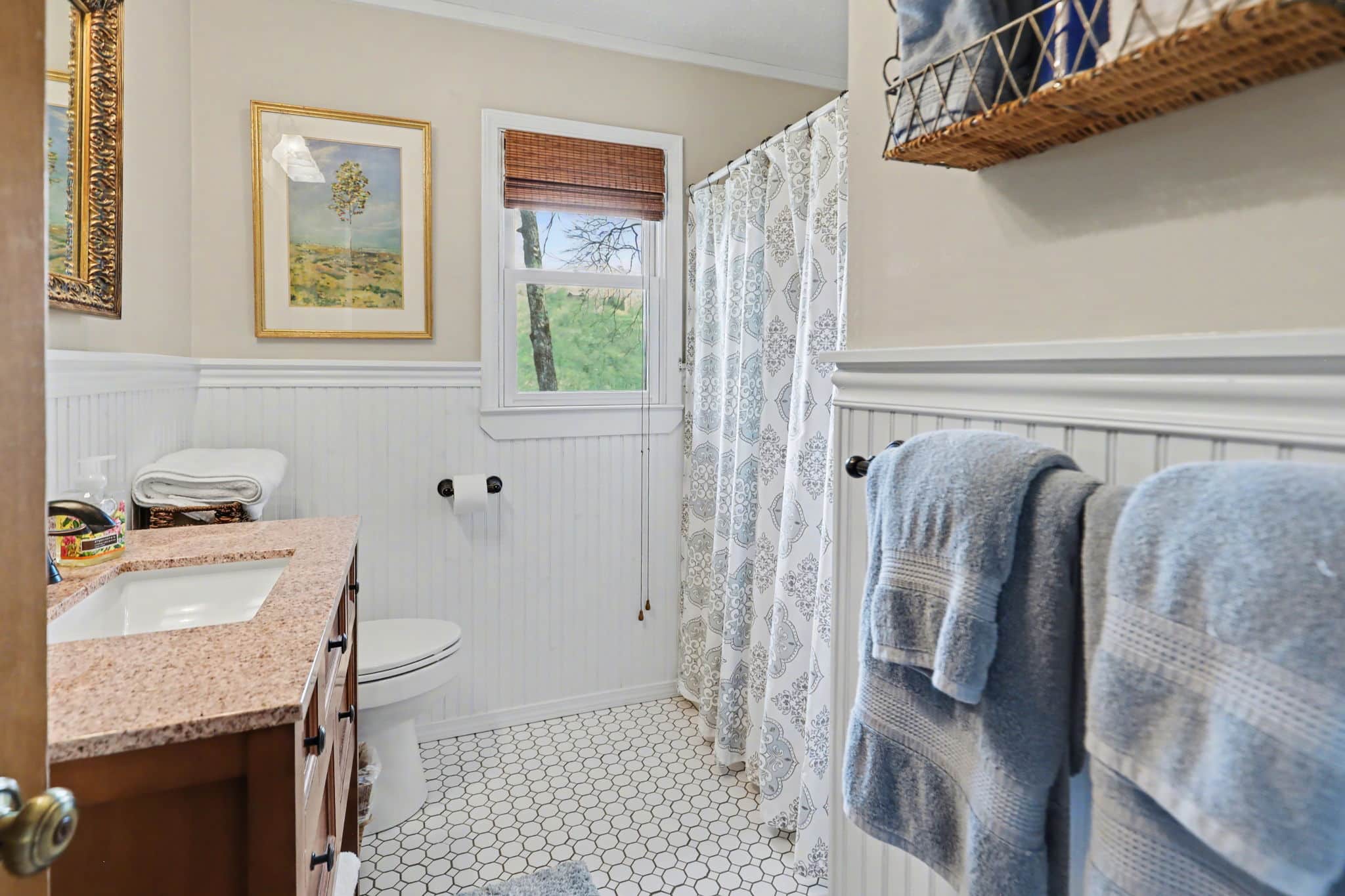 187 Evans Creek Rd Scaly Mountain NC 28775 - 36