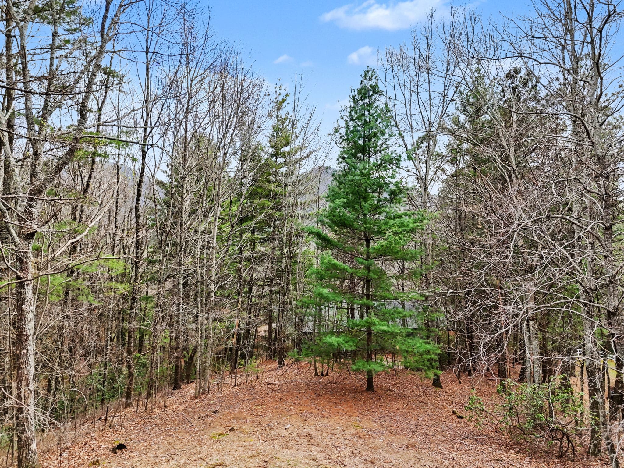 594-Sky-High-Dr-Sky-Valley-Ga-58