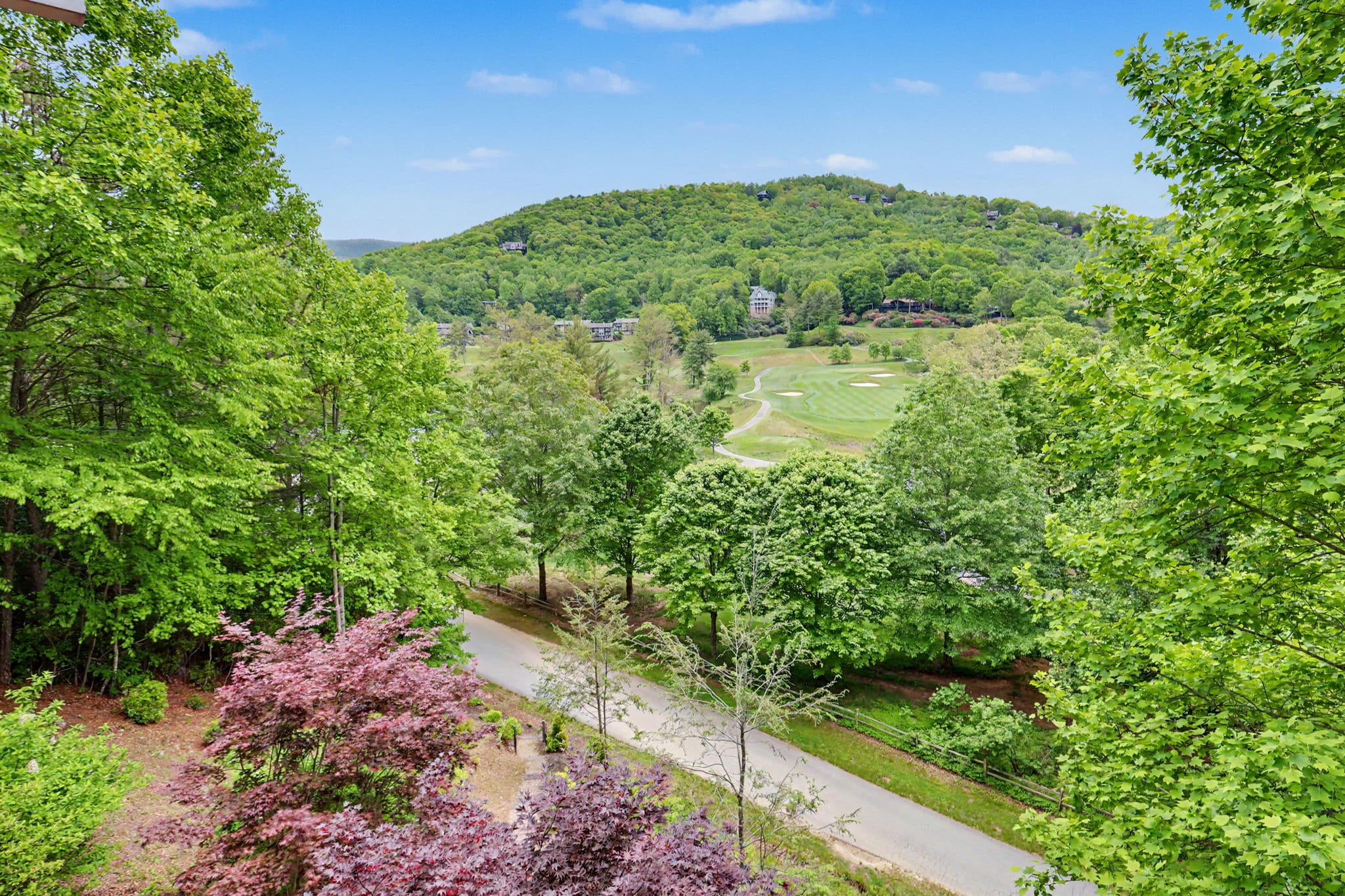 854 Saddleback Cir Sky Valley GA 30537 - 28