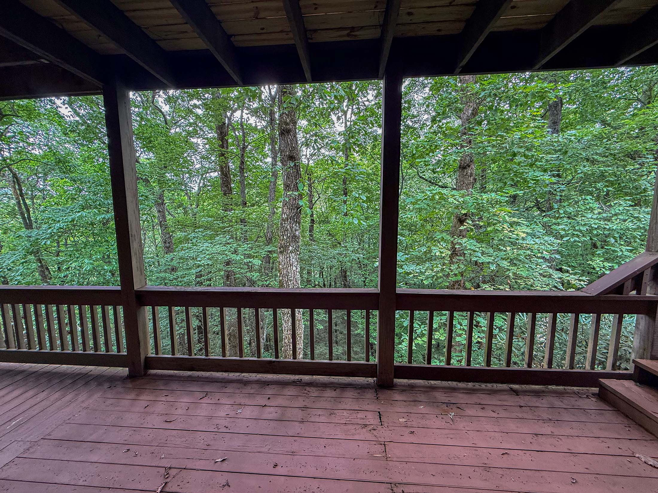 195 Cedar Lane Sky Valley GA 30537 - 36