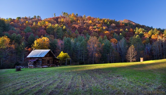 Dillard GA homes for sale
